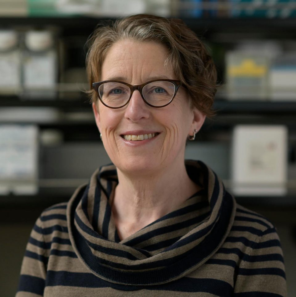 Katherine S. Pollard, Ph.D. – Pollard Lab